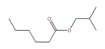 2-Methylpropyl hexanoate